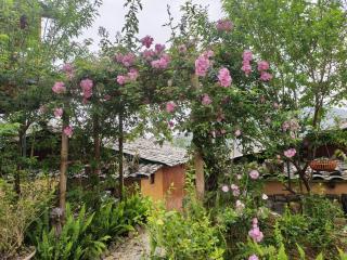 LÝ GIA HOMESTAY - 6