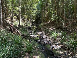 Secluded Tiny House with amazing views Wild100 BnB - 2