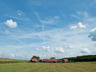 Modern Chalet Near Beach - 1