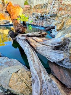 Toodyay Homestead Motel - 1