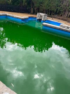 Vacation Home with Natural Swimming Pool and Garden for up to 12 Guests - 7