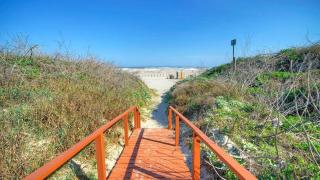 Summer Love Beach Happy by AvantStay - 6