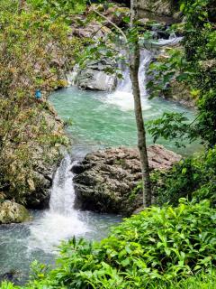 Le BUNGALOW CALEDONIEN DE SARRAMEA DEPAYSEMENT - Sarraméa - 5