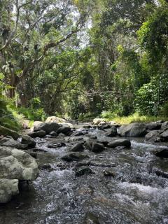 BUNGALOW 9 Le BUNGALOW DOUCEUR - 7