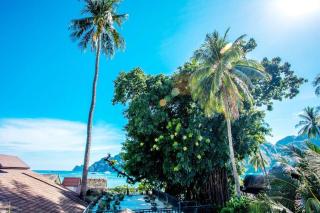 Phi Phi Banyan Villa - 9