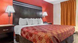 Econo Lodge Columbia Fort Jackson - Burnside East - 3