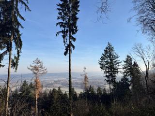 SoloStudio - mit Parkplatz bei Radolfzell am Bodensee - 6