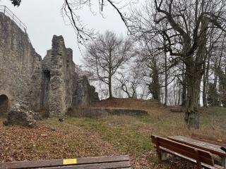 SoloStudio - mit Parkplatz bei Radolfzell am Bodensee - 5