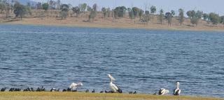 Mildreds Cottage - 1