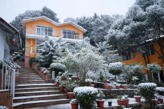Essence of Nature, Ranikhet - 8