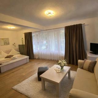 Pensiunea Carina - 4