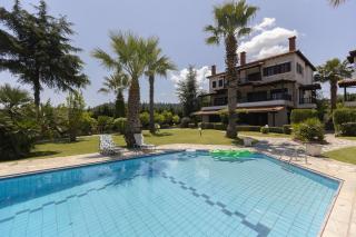 Pineapple Kryopigi by Luxlikehome - 0