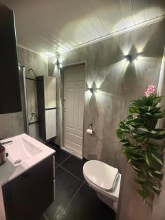 Koselig leilighet i Vangslia - ski in ski out - 6