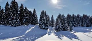 Ferienwohnung Leo - 8