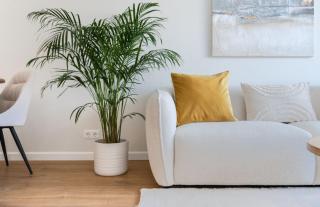 Spacious & Modern apartment with Fresh renovation - 8