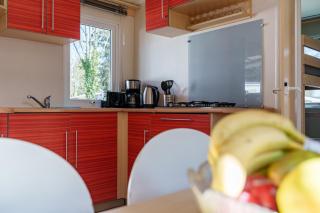 Nina's Mobilhome am Europa Park - 3