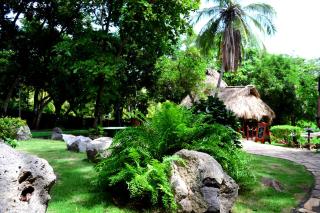 Laguna Beach Club - La Laguna - 5