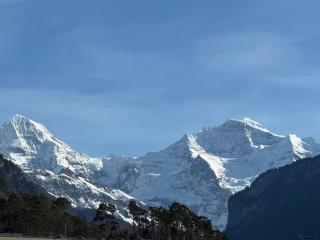 Center Park Apartment - Interlaken - 9