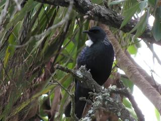 Bay Cabinz Motel - 7