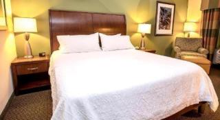 Hilton Garden Inn Green Bay - 6