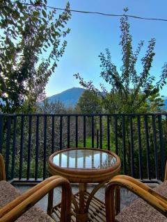 Whistling Thrush Villa - abode in an apple orchard in Naggar, Manali - 2