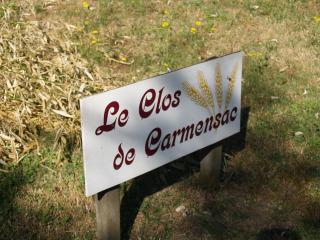 Le Clos de Carmensac - Meyrals - 7