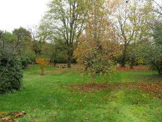 Le Clos de Carmensac - 3