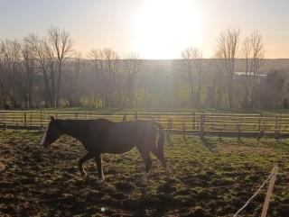 Homnest - Brise Jurassienne - 20 min Lacs & Cascade - 3