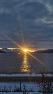 Fjordtinyhouse Glamping right by the beach - 9
