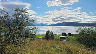 Fjordtinyhouse Glamping right by the beach - 4