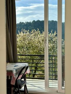 Soma House Dharamkot - 7