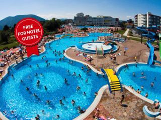 Hotel Hills Sarajevo Congress & Thermal Spa Resort - Sarajevo - 3
