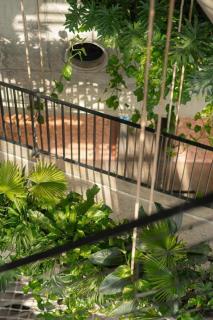 Thalia Boutique Hotel Hoian - 6