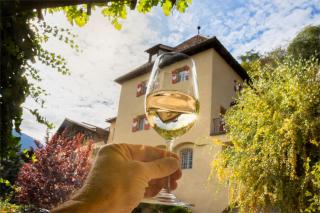 Weingut Köfelgut - Turris Vini - 9