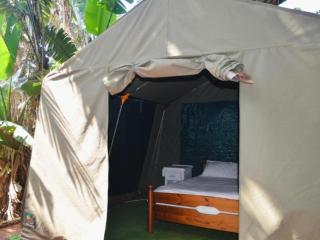 Mantis and Moon Surf Paradise & Adventure Lodge - 5