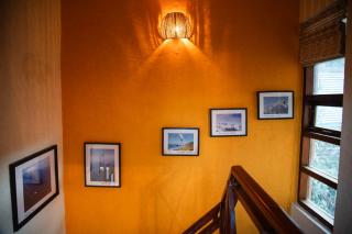 Natural Elements by Levitate at Ramgarh - 7