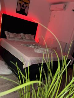 Studio de lux Craiova Zona Ford - 5