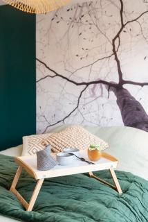 Le Cosy du grand Parc avec Parking privé et Netflix, Proche Nancy Gentilly - 7