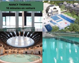 Le Cosy du grand Parc avec Parking privé et Netflix, Proche Nancy Gentilly - 4