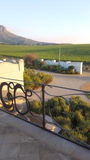Dieu Donne - Stellenbosch - 4