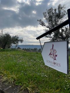 4 Roses Residence VRTNICA - 9