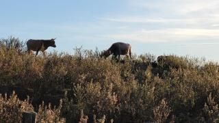 Private pool villa and waterfront - 8