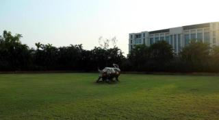 ILARA Hotel and Spa - OMR - 8