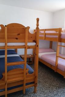 Olot céntrico, La Garrotxa, Petfriendly - 8