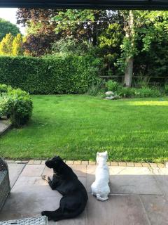 Cheshire Country Cottage, Bulkeley - 9