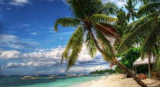 Bohol Casa Nino Beach Resort - 1