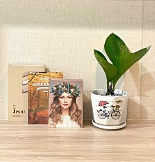 Studio in downtown with pool - 3