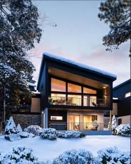 Tahko Lakeside Villa D5 by Hilla Villas - 3