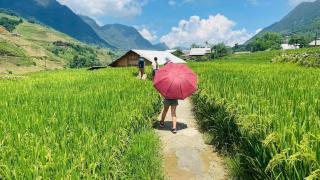 Cozy Happy Bungalow Village Walks & Motorbike Tours - 5