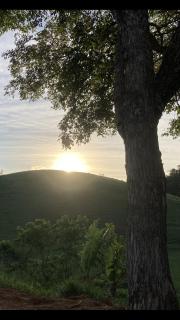 Paraitinga Glamping - 1